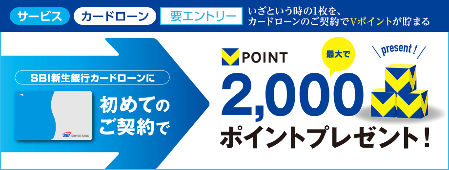 はじめての契約でVポイントプレゼント