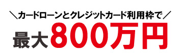 もしもの時は最大800万円利用可能